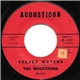 The Megatrons - Velvet Waters / The Merry Piper